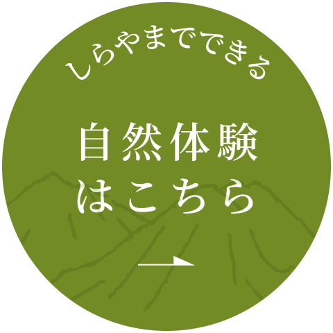 しらやまでできる自然体験はこちら