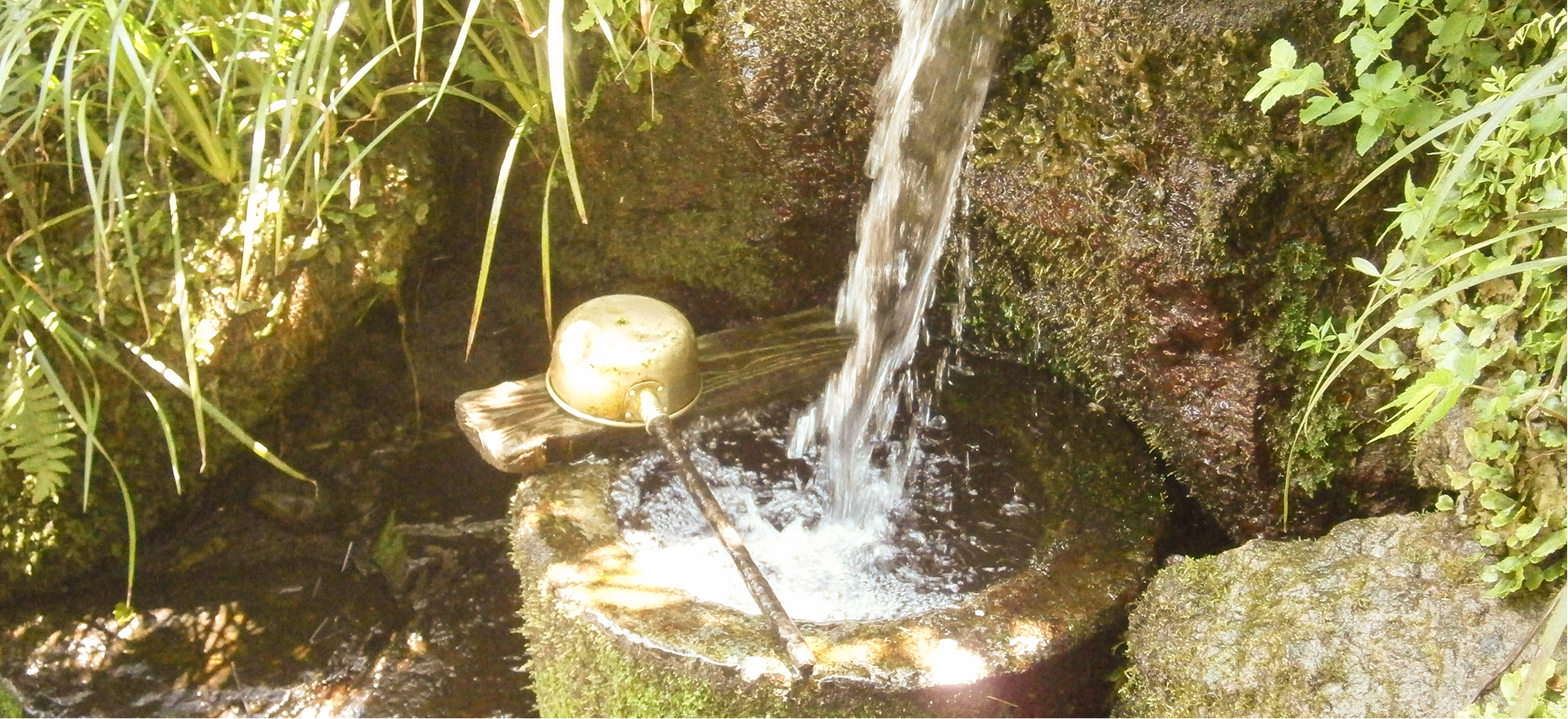 解雷ヶ清水の写真